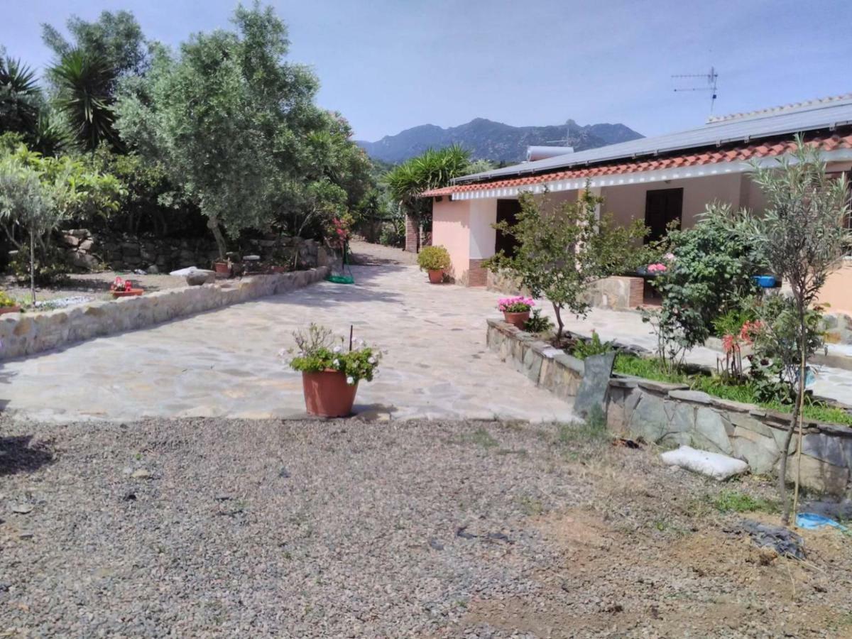 Agriturismo Camboni Villa Annunziata  Exteriör bild